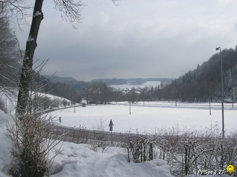 P3040004.JPG