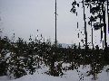 P3180040.JPG