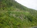 P6170055.JPG