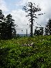 P6170086.JPG