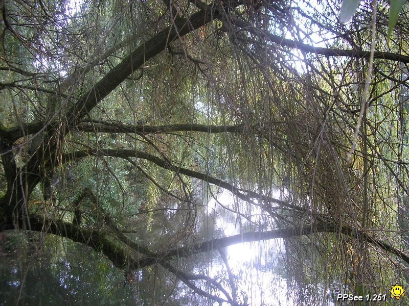 P9300016.JPG
