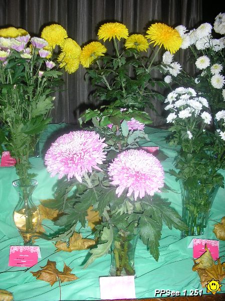 PA280049.JPG