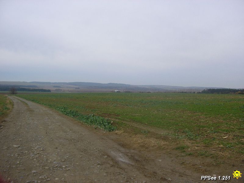 PB110012.JPG