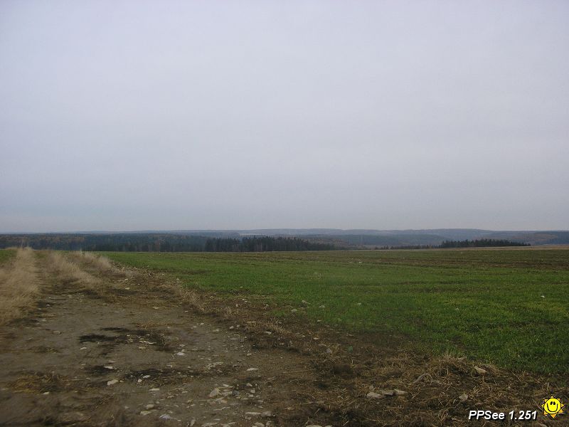 PB110013.JPG