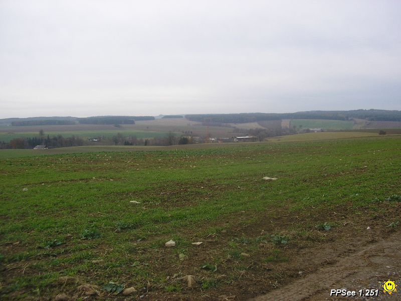PB110014.JPG
