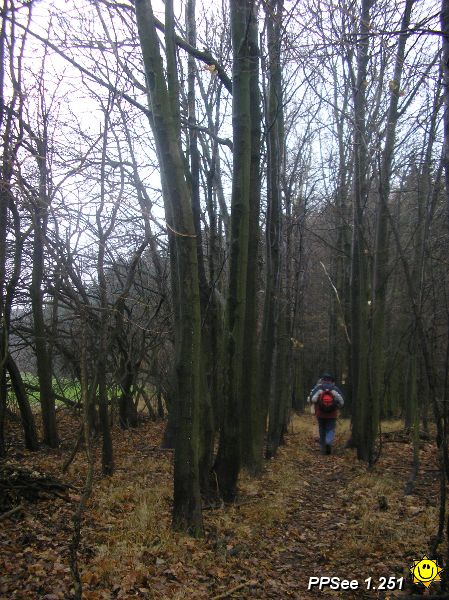 PB250002.JPG