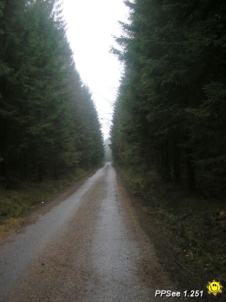 PB250005.JPG