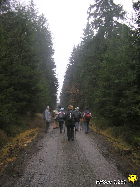 PB250007.JPG