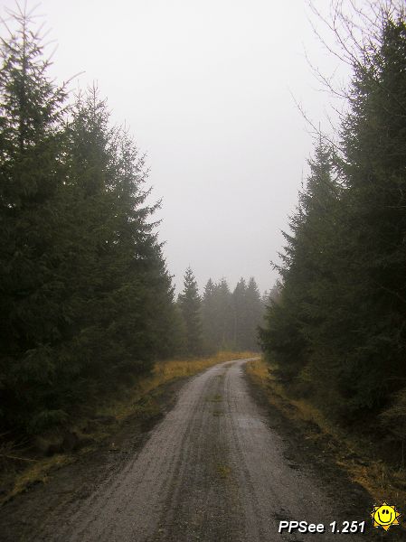 PB250010.JPG