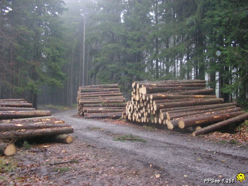 PB250020.JPG