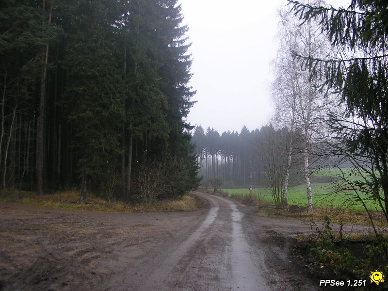 PB250028.JPG